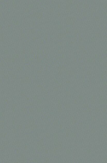 Полина - фото